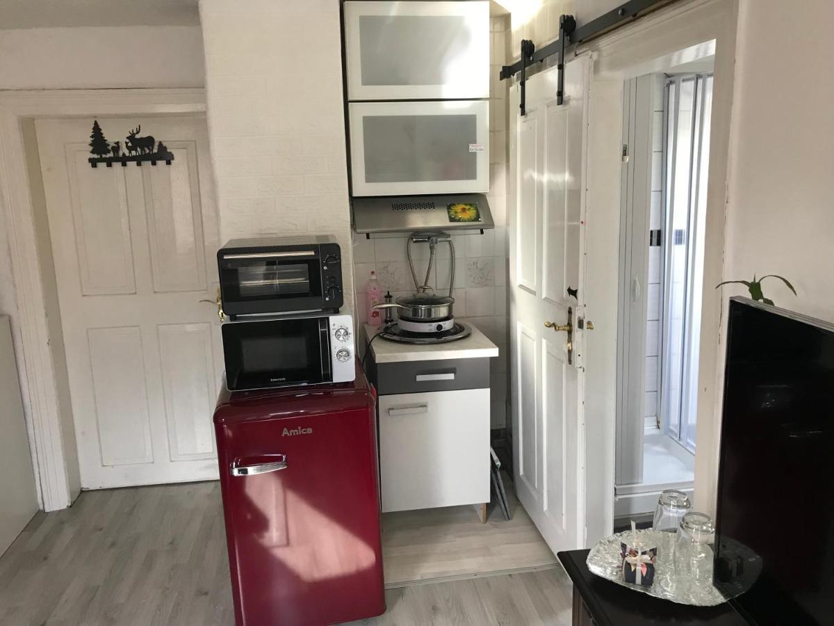 Ferienwohnung Im Einfamilienhaus, Automobil Und Robert Schumann Stadt Zwickau Extérieur photo